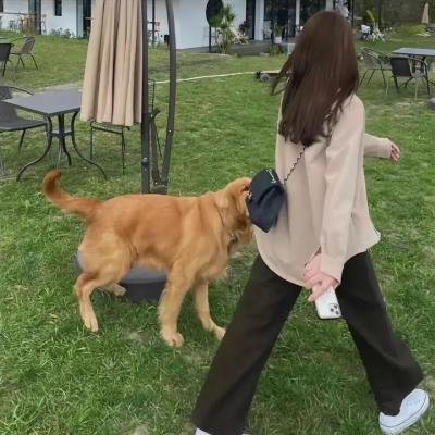她的盛焰